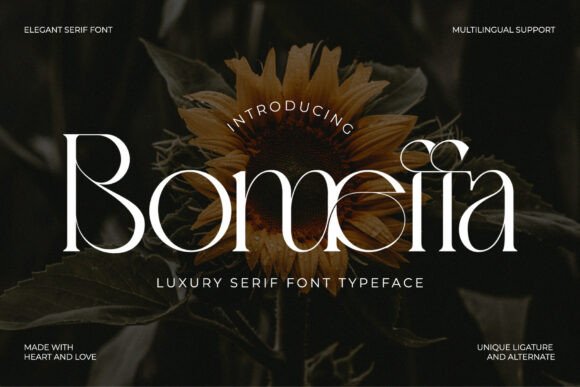 Bomeffa Regular: An Elegant Font for Campaigns